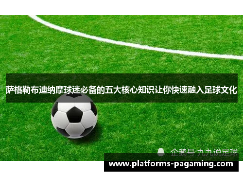 萨格勒布迪纳摩球迷必备的五大核心知识让你快速融入足球文化