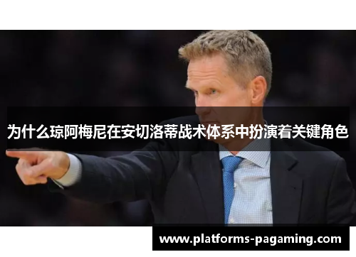 为什么琼阿梅尼在安切洛蒂战术体系中扮演着关键角色