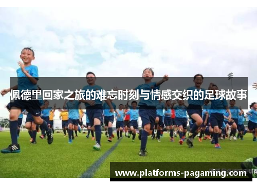 佩德里回家之旅的难忘时刻与情感交织的足球故事