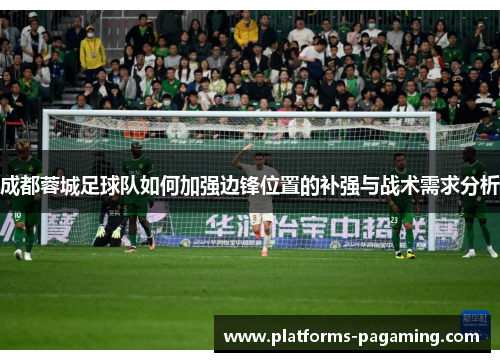 成都蓉城足球队如何加强边锋位置的补强与战术需求分析