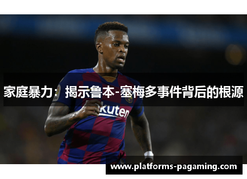 家庭暴力：揭示鲁本-塞梅多事件背后的根源