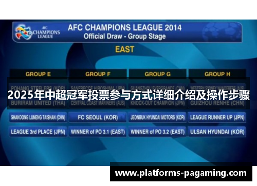 2025年中超冠军投票参与方式详细介绍及操作步骤