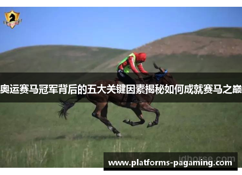 奥运赛马冠军背后的五大关键因素揭秘如何成就赛马之巅