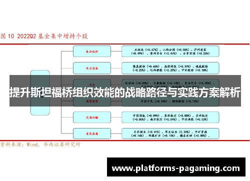 提升斯坦福桥组织效能的战略路径与实践方案解析