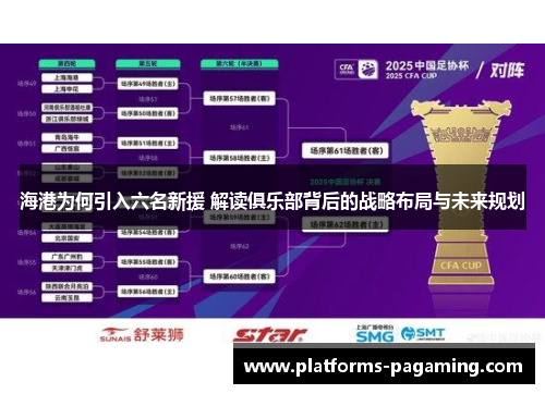 海港为何引入六名新援 解读俱乐部背后的战略布局与未来规划 海港为何引入六名新援 解读俱乐部背后的战略布局与未来规划