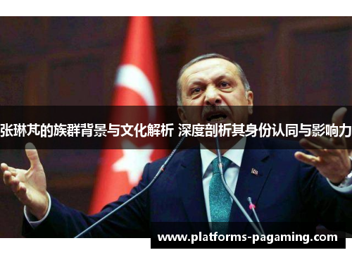 张琳芃的族群背景与文化解析 深度剖析其身份认同与影响力