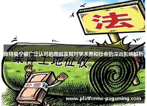 佩特曼宁被广泛认可的原因及其对学术界和社会的深远影响解析