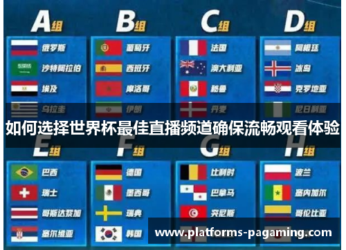 如何选择世界杯最佳直播频道确保流畅观看体验