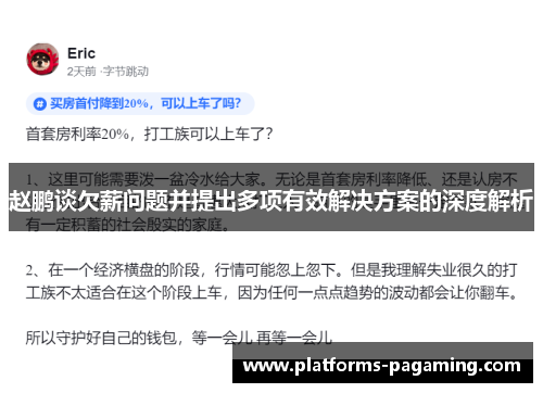 赵鹏谈欠薪问题并提出多项有效解决方案的深度解析