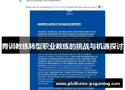 青训教练转型职业教练的挑战与机遇探讨