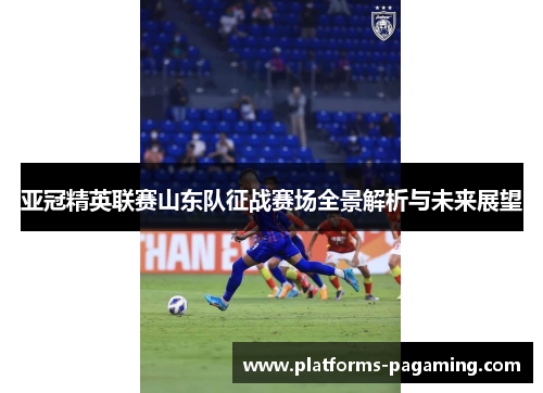 亚冠精英联赛山东队征战赛场全景解析与未来展望