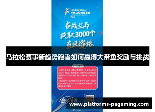 马拉松赛事新趋势跑者如何赢得大带鱼奖励与挑战