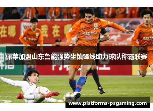 佩莱加盟山东鲁能强势坐镇锋线助力球队称霸联赛